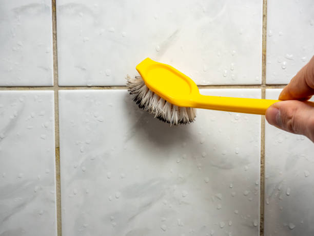 Best Mold Damage Repair  in Clare, MI