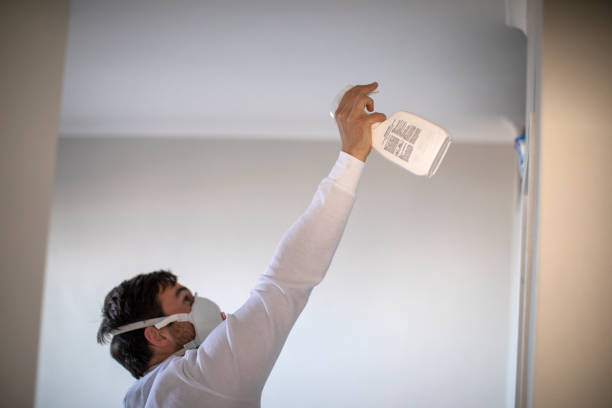 Office Mold Removal Services in Clare, MI