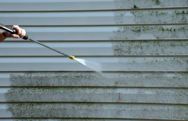 Certified Mold Removal in Clare, MI
