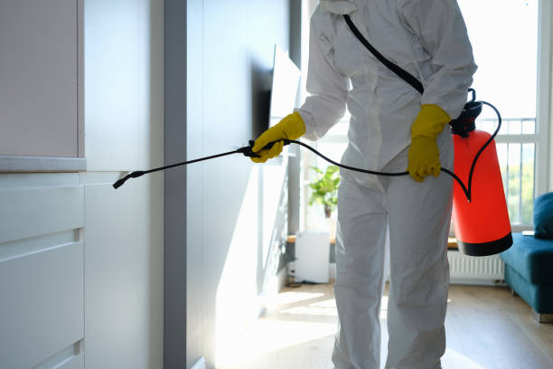 Best Residential Mold Removal  in Clare, MI